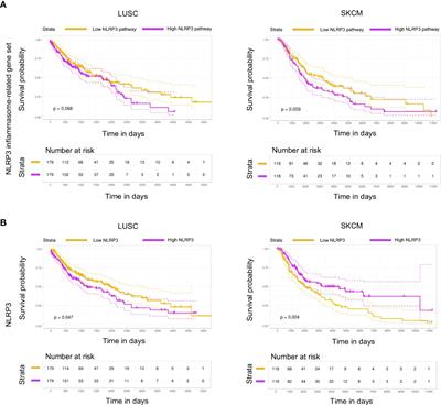 Ablation of NLRP3 inflammasome rewires MDSC function and promotes tumor regression